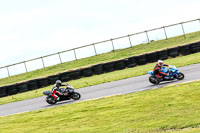 PJ-Motorsport-2019;anglesey-no-limits-trackday;anglesey-photographs;anglesey-trackday-photographs;enduro-digital-images;event-digital-images;eventdigitalimages;no-limits-trackdays;peter-wileman-photography;racing-digital-images;trac-mon;trackday-digital-images;trackday-photos;ty-croes